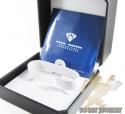 Womens aqua master genuine diamond exclusive watch 0.20ct