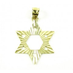 10k Yellow Gold Diamond Cut Star Of David Pendant 