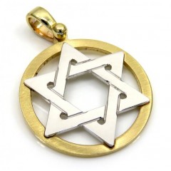 14k Yellow And White Gold Two Tone Small Star Of David Pendant 
